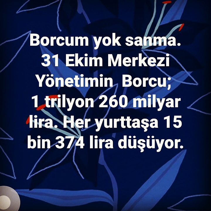 Hazine ve Maliye Bakanlığı 31 Ekim 2019 tarihi itibariyle merkezi yönetimin toplam borcunu açıkladı. Buna göre merkezi yönetim brüt borç stoğu 1 ayda 21 milyar liralık artışla tam olarak 1 trilyon 260 milyar 725 milyon lira olarak gerçekleşti. 15 bin 374 lira ödemesi gerekiyor.