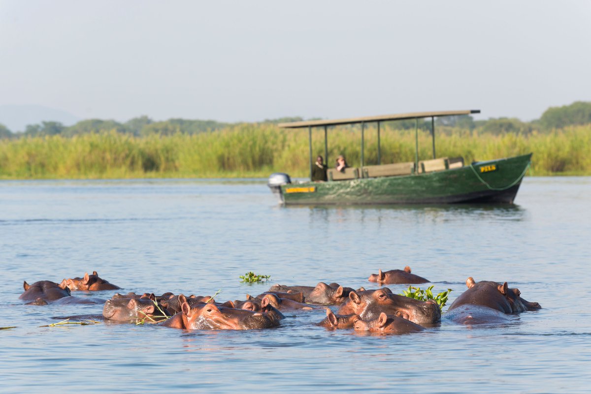 Ulendo Malawi Group (@ulendomalawi) on Twitter photo Happy Friday! It's time to showcase our #5 #MalawiSpendid6 #TravelBucketList destination #LiwondeNationalPark.
It is home of the biggest translocation of elephant, Cheetahs, lions, leopards and the black rhino! .
Email info@ulendo.net for bookings and more information. Happy Friday! It's time to showcase our #5 #MalawiSpendid6 #TravelBucketList destination #LiwondeNationalPark.
It is home of the biggest translocation of elephant, Cheetahs, lions, leopards and the black rhino! .
Email info@ulendo.net for bookings and more information.