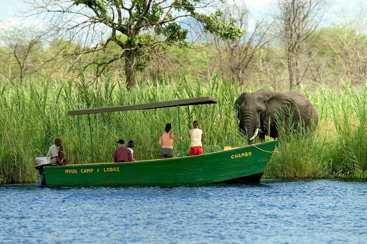 Ulendomalawi's tweet photo. Happy Friday! It's time to showcase our #5 #MalawiSpendid6 #TravelBucketList destination #LiwondeNationalPark.

It is home of the biggest translocation of elephant, Cheetahs, lions, leopards and the black rhino! .

Email info@ulendo.net for bookings and more information. https://t.co/NjA3LofJWF