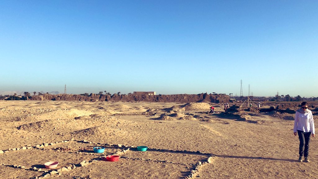 Jacinta Carruthers tweet media