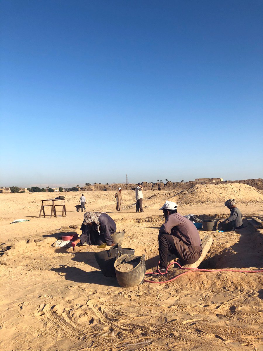 Jacinta Carruthers tweet media