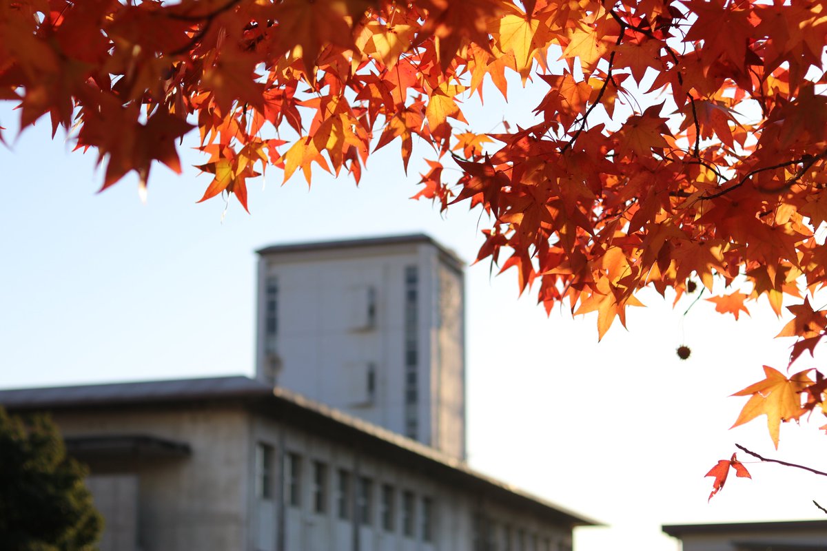 YPUkendai's tweet image. 今年はちょっぴり遅め？ですが、学内の紅葉が見ごろです（でもすでに散りかけてます…😭）
今週いっぱいまではきれいな紅葉が楽しめるかも🍁
#山口県立大学 #紅葉