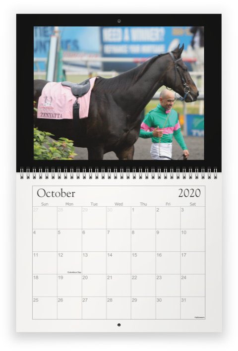 smcracing95's tweet photo. @TheSirBarton How about Queen Zenyatta on your wall for the 12 months.. https://t.co/M7JGcD8bDo