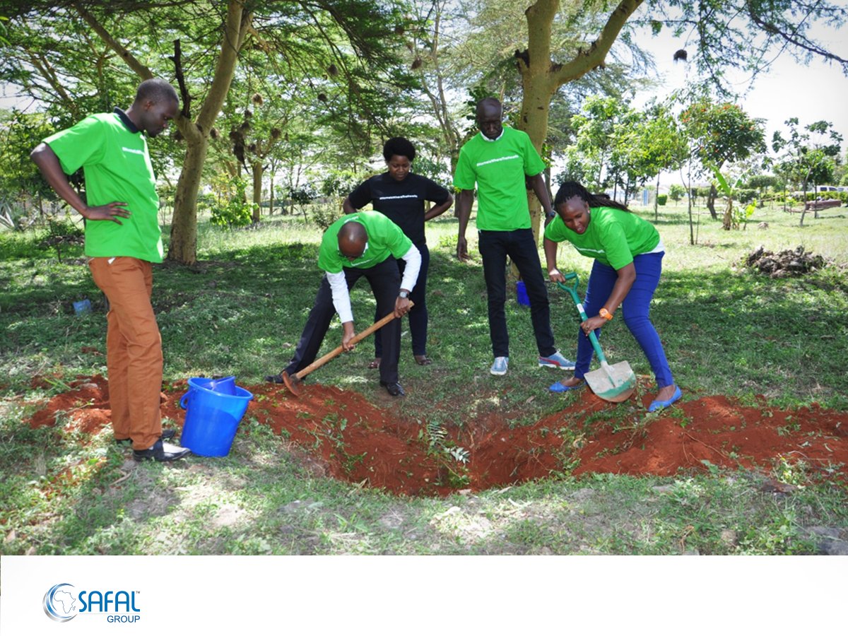 What a tree’s favourite dating app? *Timber*

Now that we got you thinking of trees, we have made it our agenda to give back to the environment by planting trees. 

How many trees have you planted this year? #SafalCares  #TrustTheDifference
