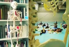 Somatics Toolkit tweet media