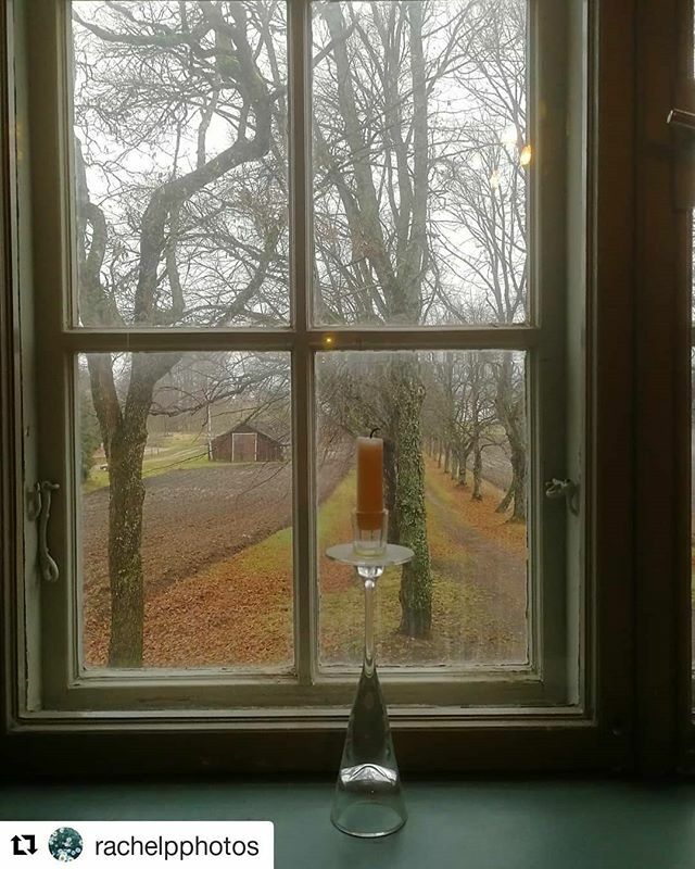 kotimaassafi's tweet photo. Hyvää perjantaiaamua! Kiitos kuvasta @rachelpphotos ・・・
Huomenta 💛💚❤️ #maisemakuviasuomesta #kotimaassa #awesome_finland #suomalainenmaisema #thisisfinland #minunsuomeni #finland4seasons #linden #lindenalley #lehmuskuja #alley #loves_finland #out… https://t.co/Kvbym3ARmE https://t.co/4O30DxGeO0