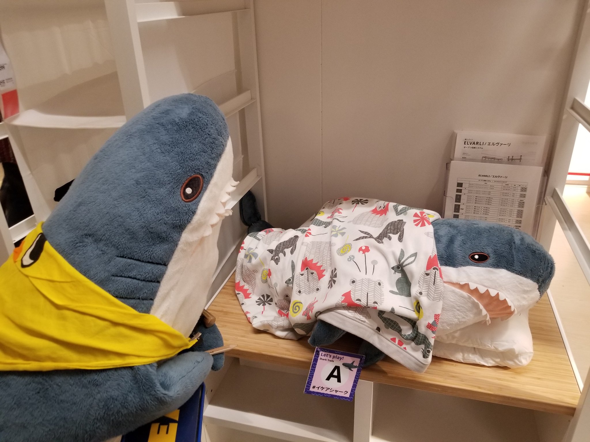 Ikeaのサメ用アカ ワタザメ サメによるサメ探しゲーム お友達ぜーんぶ見つけられたね イケアシャーク