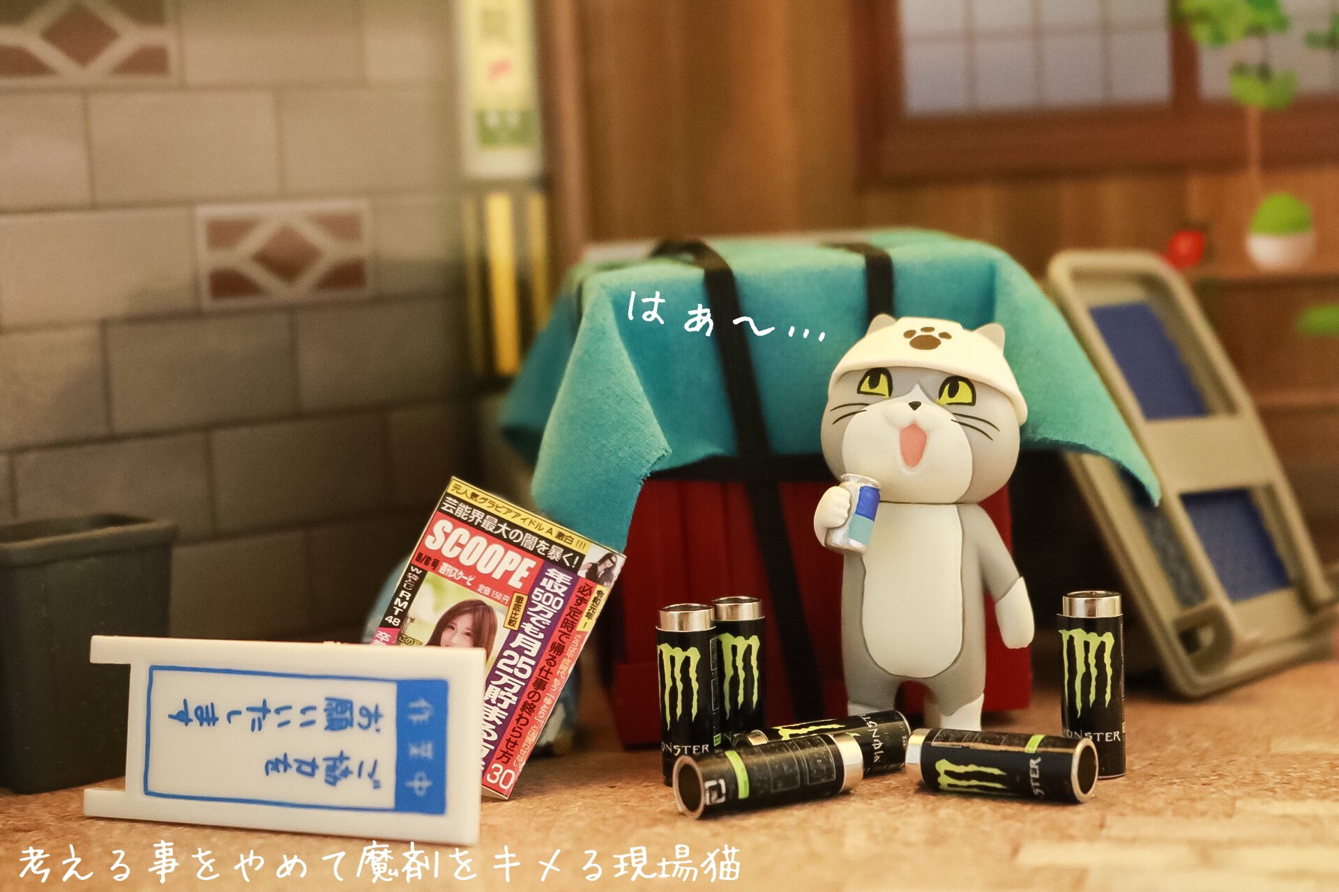 現場猫 からあげのるつぼ on X: 