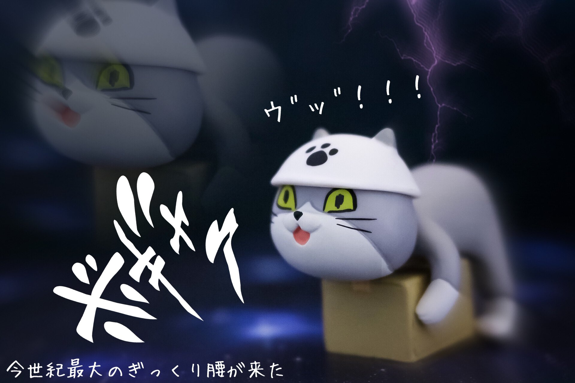 現場猫