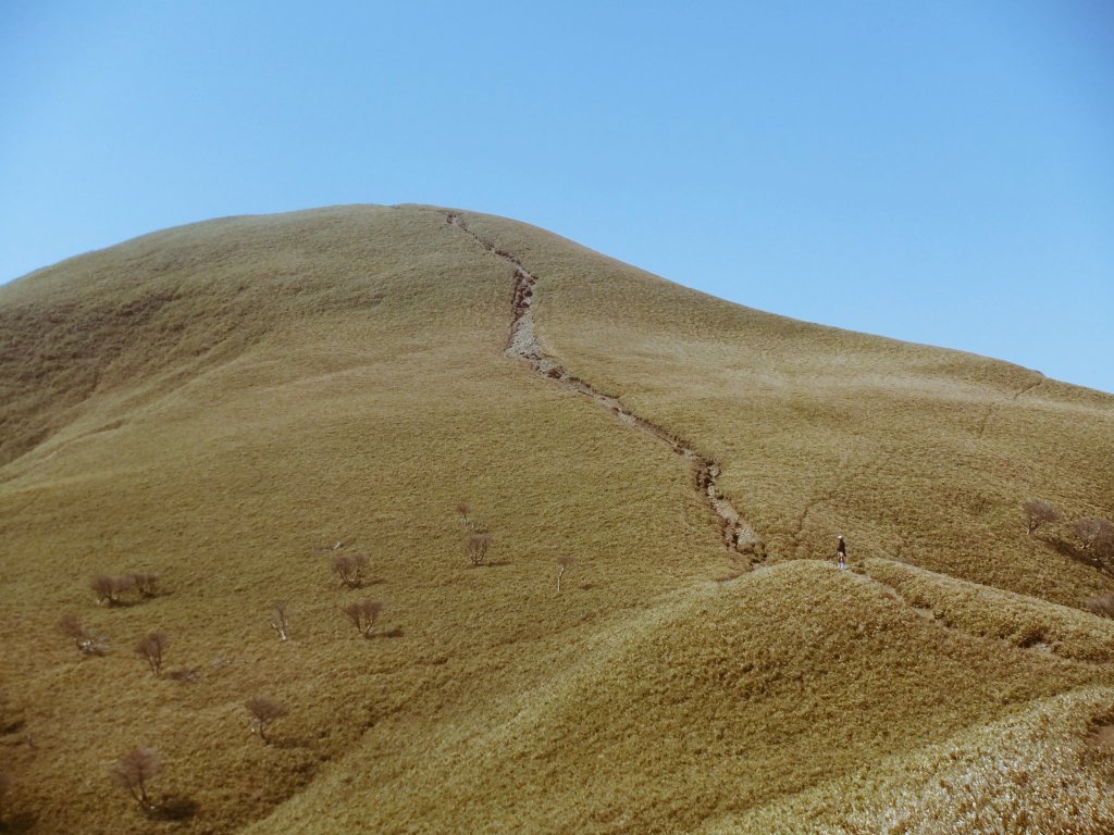 Suuujuuu's tweet image. 山わらう一本道が道標
#新俳句フォト #お～いお茶