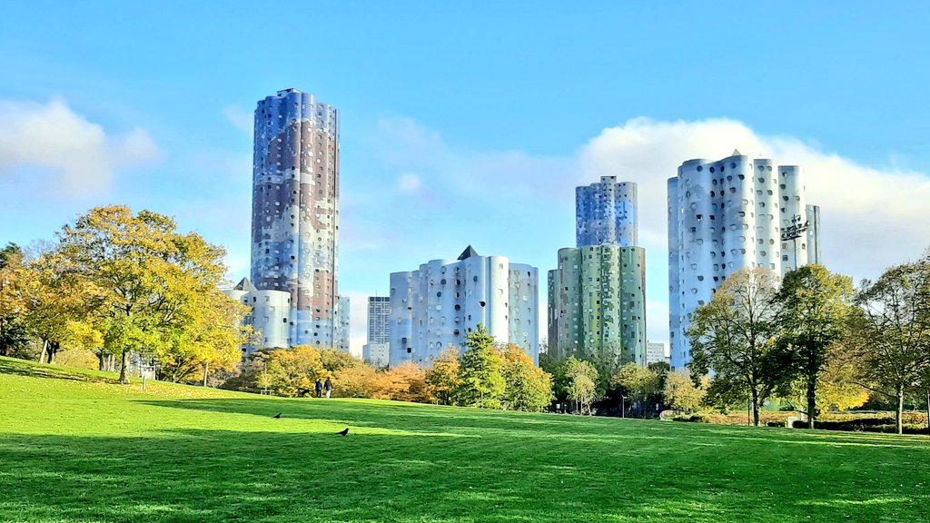 Louis-Pierre Samain tweet media