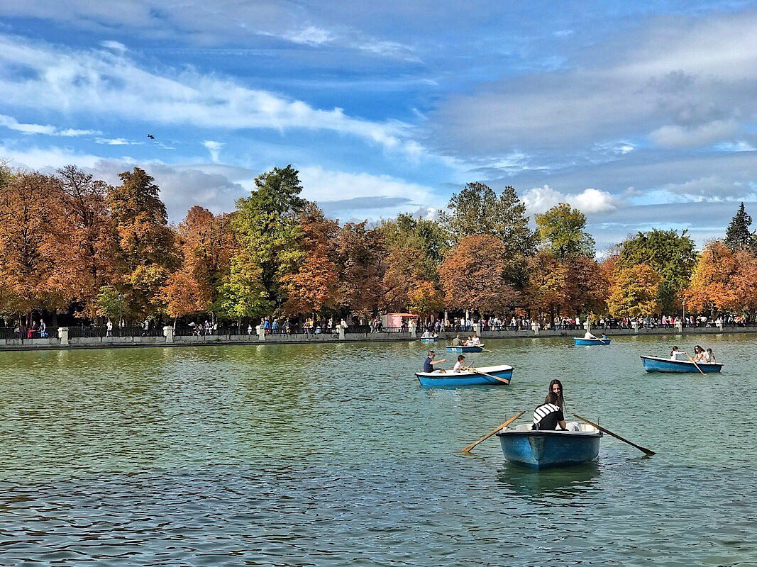 ElRetiroMadrid's tweet photo. Que el frío no te impida disfrutar de un paseo bajo la mágica luz de noviembre. 
Feliz domingo electoral. 
Saluda #AntonelloDellanotte @adellanotte
#ElCronistaDelRetiro #PradoyRetiro #Madrid #ElParqueQueTeHabla #ParquesHistoricos #ViveElRetiroCuidaElRetiro #Cultura #Arte #Foto https://t.co/xxCgySu5h6