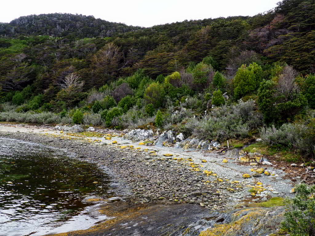 MochilaExpres's tweet image. Último día en #Ushuaia y visita al Parque Nacional Tierra de Fuego. Fántástico trelking a través de bosque patagonico y entre lagunas. #Argentina