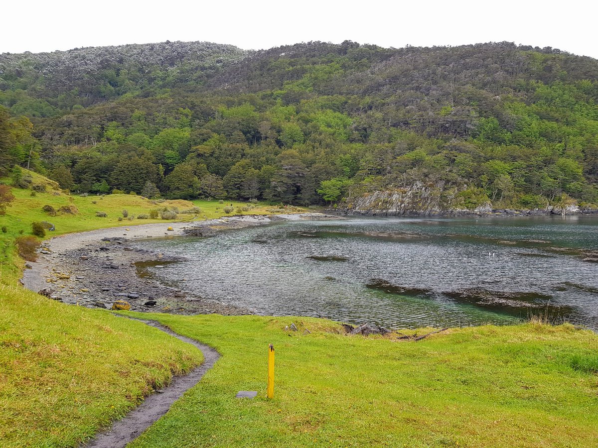 MochilaExpres's tweet image. Último día en #Ushuaia y visita al Parque Nacional Tierra de Fuego. Fántástico trelking a través de bosque patagonico y entre lagunas. #Argentina