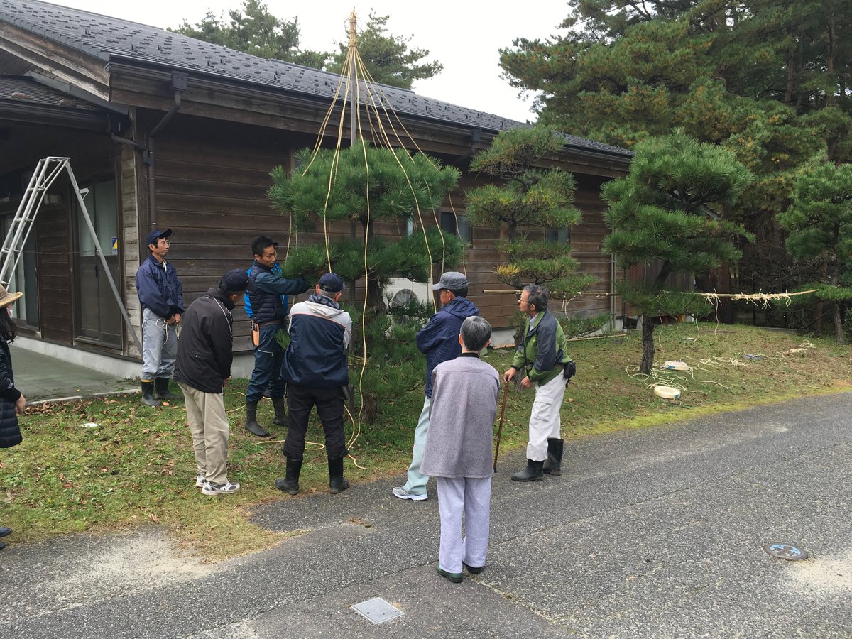 新潟県立紫雲寺記念公園 公式 على تويتر 本日 公園管理事務所で冬囲い教室を開催いたしました 事務所脇の松や錦木を使い 松の雪吊りや男縛りのやり方を体験していただきました 参加してくださったみなさんありがとうございました 紫雲寺記念公園 冬囲い