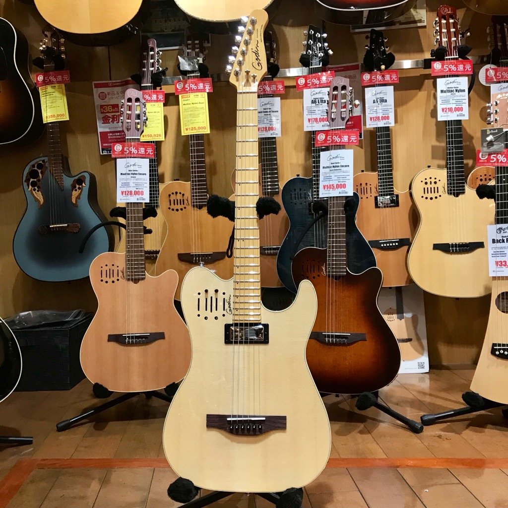 66%OFF!】 Godin ゴダン 初期 Acousticaster セミアコ seedpotatoes.com.au