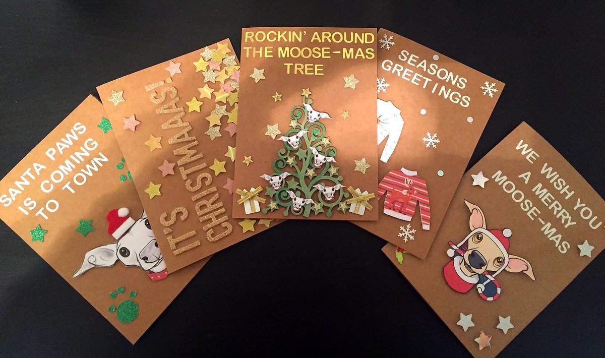 littlescrot's tweet photo. MY HEAD IS ON A CHRISTMAS CARD!!!
12 items yesterday and 10 more today. Here are a few of Mams Favourites!
@RubyRuPaper @sighthoundSC @CLiquide @J_Loaf

Reserve bids welcome, see the web for full details. All in aid of @TrustMoose &amp; @Lurcher_Link 

https://t.co/xapX5RJ47b https://t.co/ZITgN8fPFi