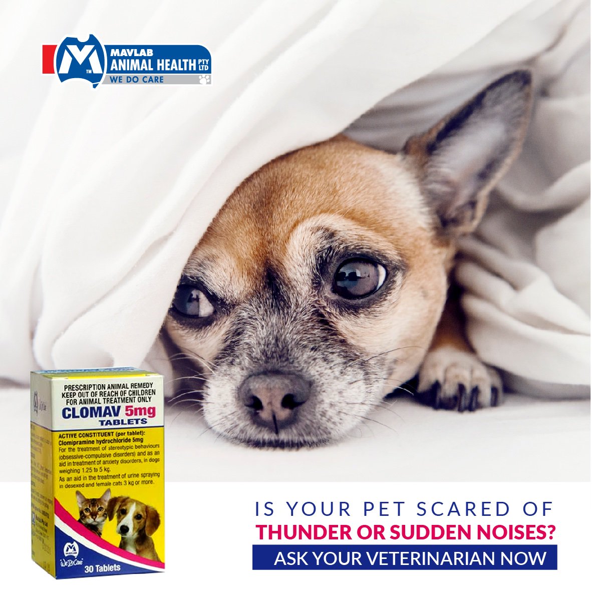 eurovetsworld's tweet photo. Does your pet fears thunderstorms at the current climatic condition?
No worries!! Contact you vet now for #Clomav tablets if your pet also suffers in this condition.
#clomav #mavlab #indubai #veterinary #mypet #eurovets https://t.co/qBZdmcdpih