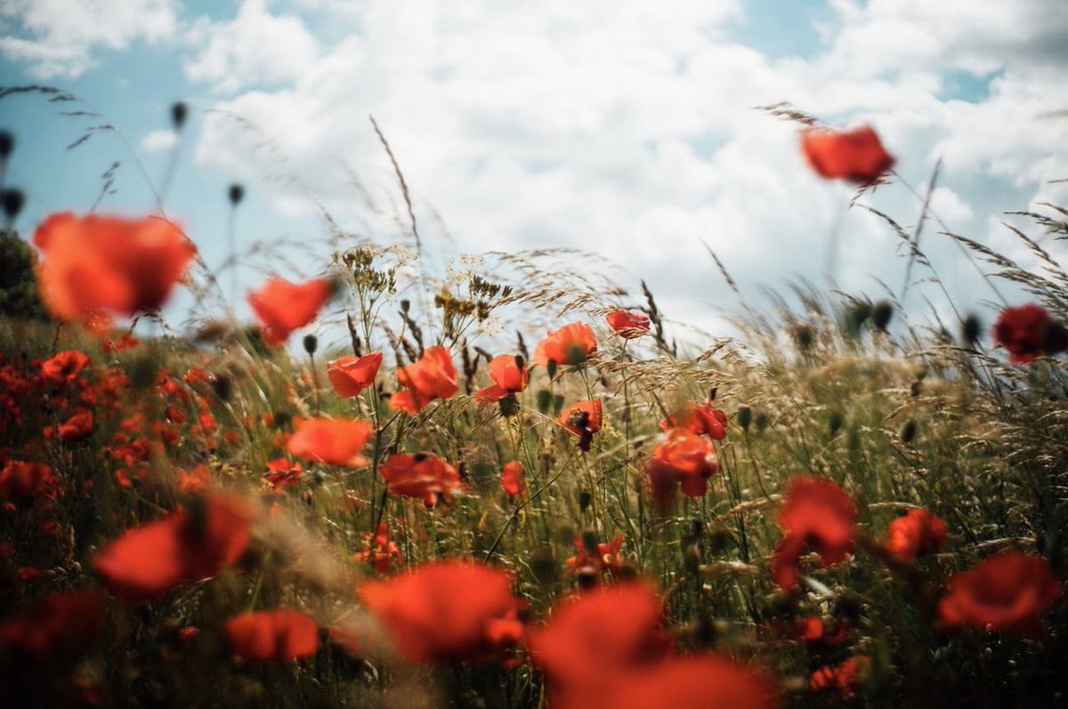 #lestweforget #remembertogether #RemembranceSunday