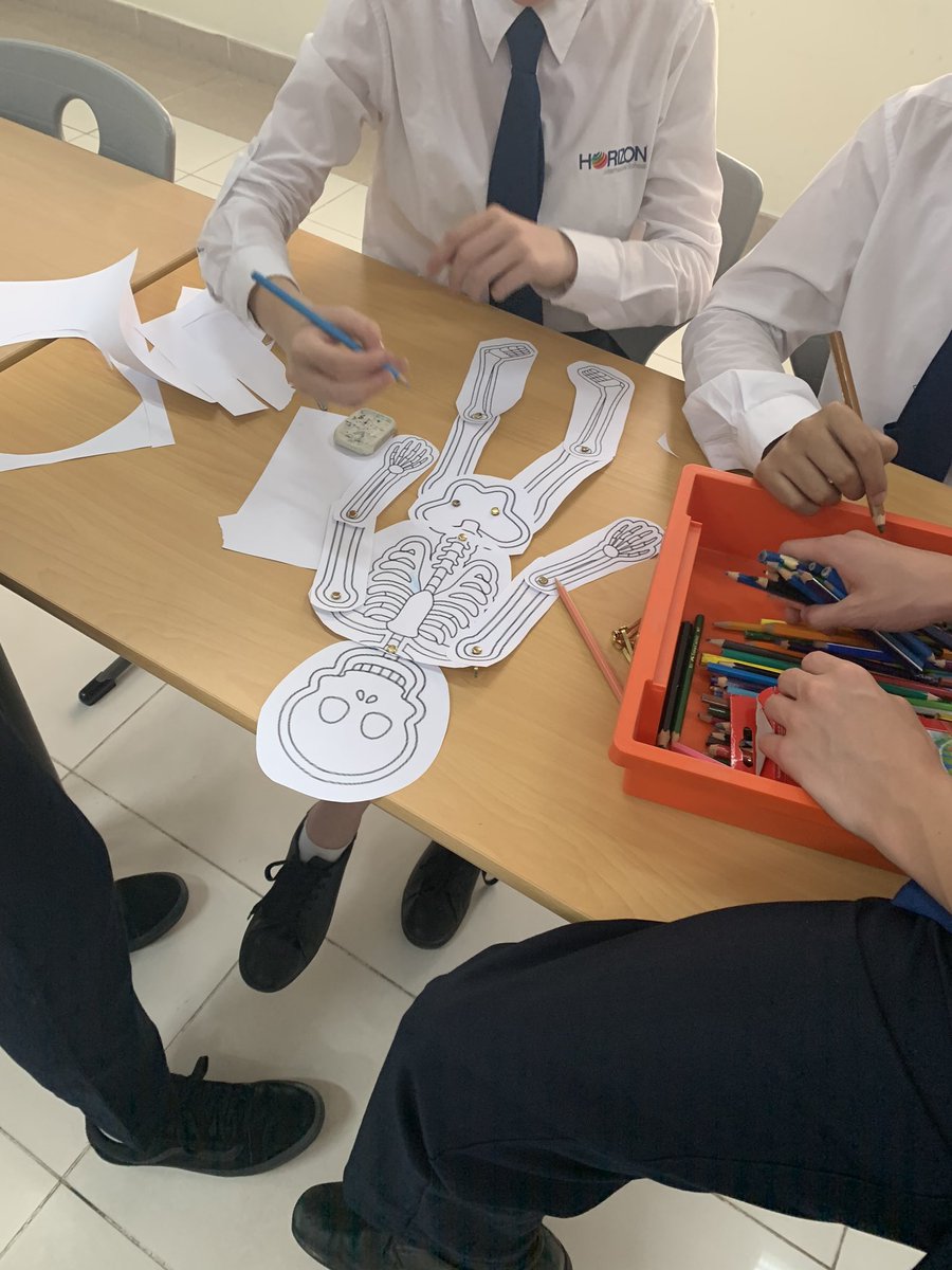 MissLeePE's tweet photo. Some skeletal fun this afternoon with Y10 GCSE PE. Working collaboratively in pairs to make the best skeleton, complete with names of bones and types of bones

A simple but engaging way to consolidate the skeletal structure💀

#A&amp;P #skeletalsystem #GCSEPE #edexcel #simplelearning https://t.co/JCUXEjb3oc