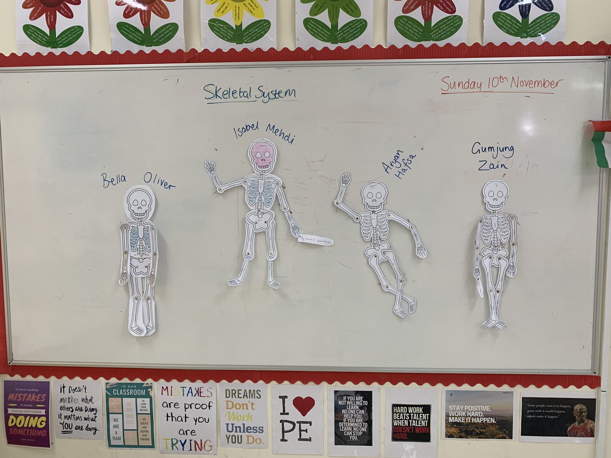 MissLeePE's tweet photo. Some skeletal fun this afternoon with Y10 GCSE PE. Working collaboratively in pairs to make the best skeleton, complete with names of bones and types of bones

A simple but engaging way to consolidate the skeletal structure💀

#A&amp;P #skeletalsystem #GCSEPE #edexcel #simplelearning https://t.co/JCUXEjb3oc