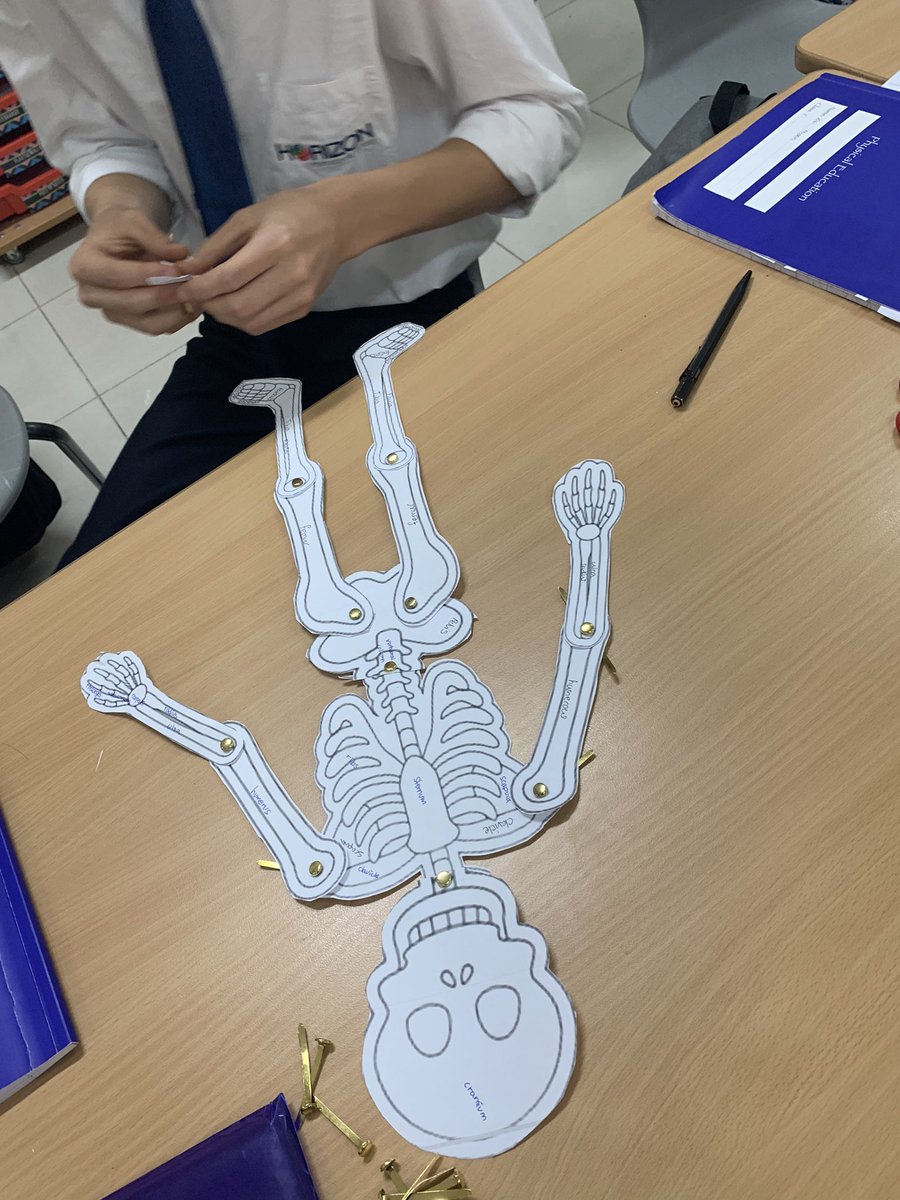 MissLeePE's tweet photo. Some skeletal fun this afternoon with Y10 GCSE PE. Working collaboratively in pairs to make the best skeleton, complete with names of bones and types of bones

A simple but engaging way to consolidate the skeletal structure💀

#A&amp;P #skeletalsystem #GCSEPE #edexcel #simplelearning https://t.co/JCUXEjb3oc