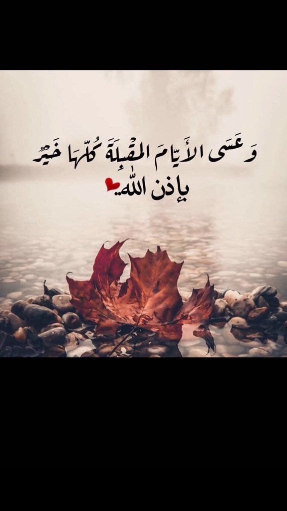 ‏﮼صيته✨ (@setahm2) on Twitter photo 