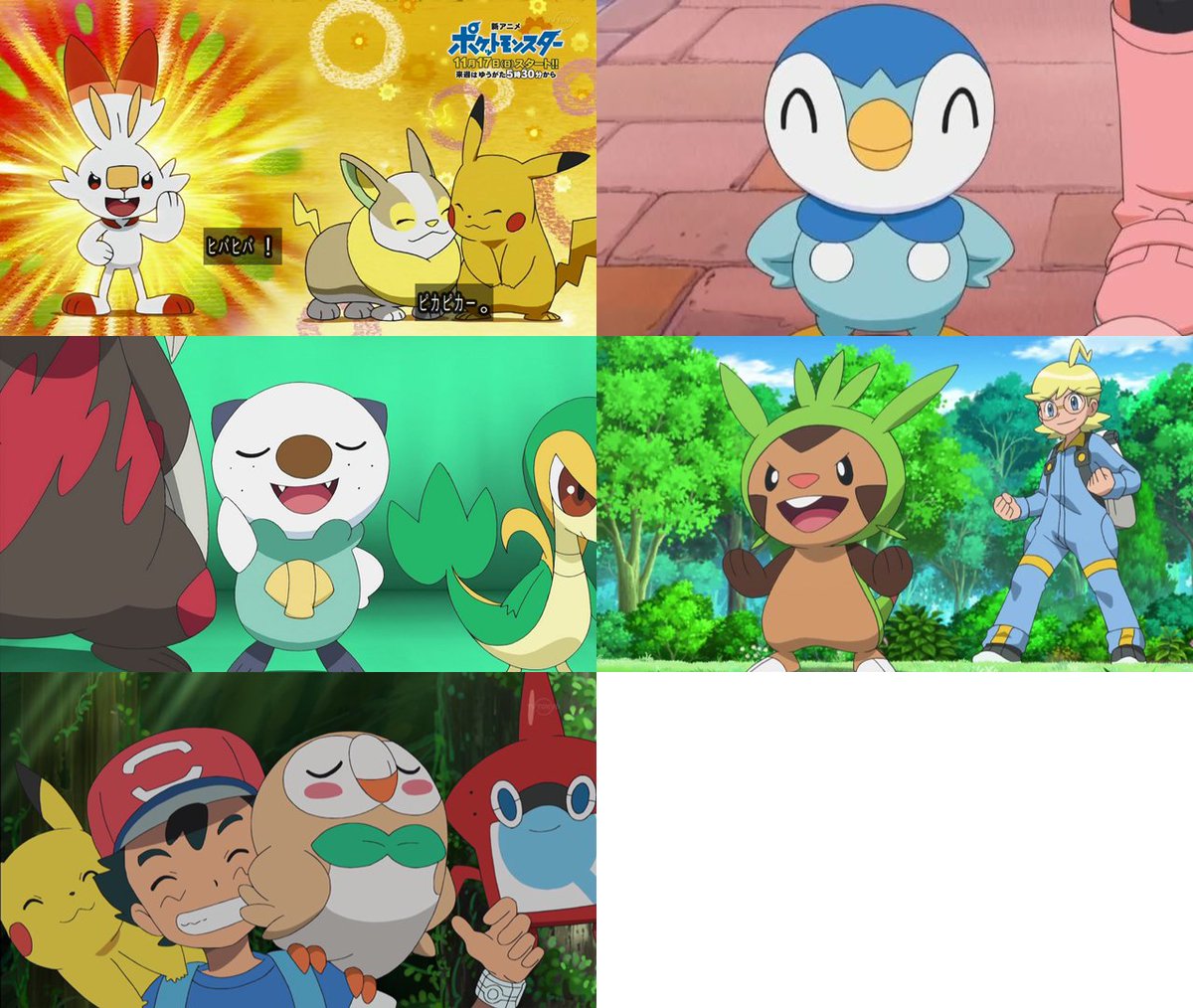 コダマロン やっぱり受け継いでしまったか ポッチャマ ミジュマル ハリマロン モクロー ヒバニー コダマロン やっぱり受け継いでしまったか ポッチャマ ミジュマル ハリマロン モクロー ヒバニー