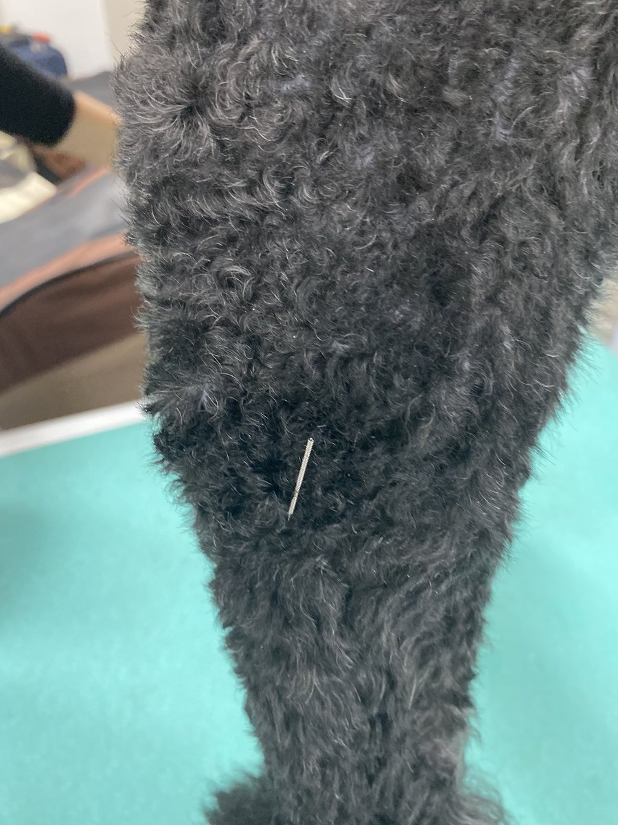 本日はこういった勉強です！
どういったのかと言うと「痛いの痛いの飛んでけ〜」と言うやつです！
決しておまじないの授業ではありませんよ〜〜！