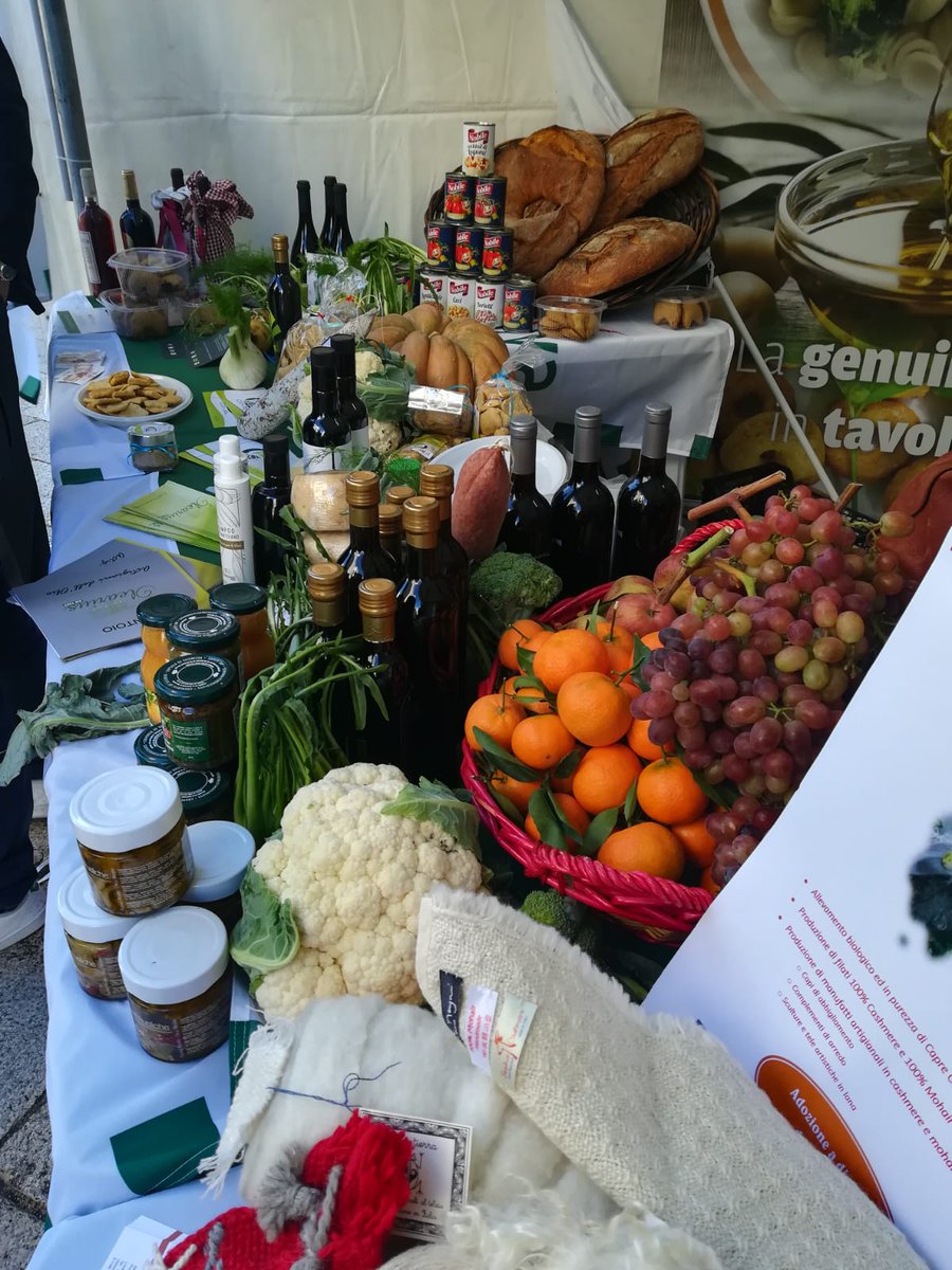 Terra Viva Cisl tweet media