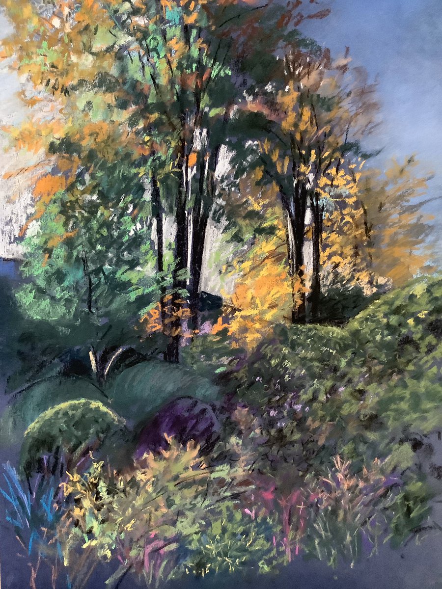 Had a great day, yesterday, working with the #SedberghArtSociety. I did this #pastel of the Beech Trees at the bottom of our garden. Glorious Autumn colours in the glorious Autumn sunshine. #artist #Ilovecolour #landscapepainter #trees #keepourcitiesgreen