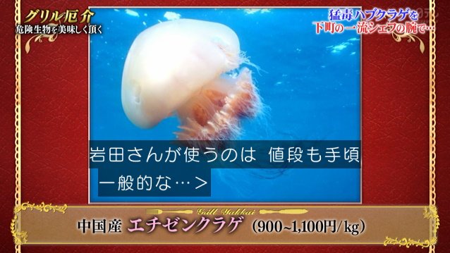 触れたらアウトな 海の毒殺者 を14年前に中断された研究の論文から城島リーダーが再現したトラップで捕獲し いつもの店 で美味しく調理 鉄腕dash 3ページ目 Togetter