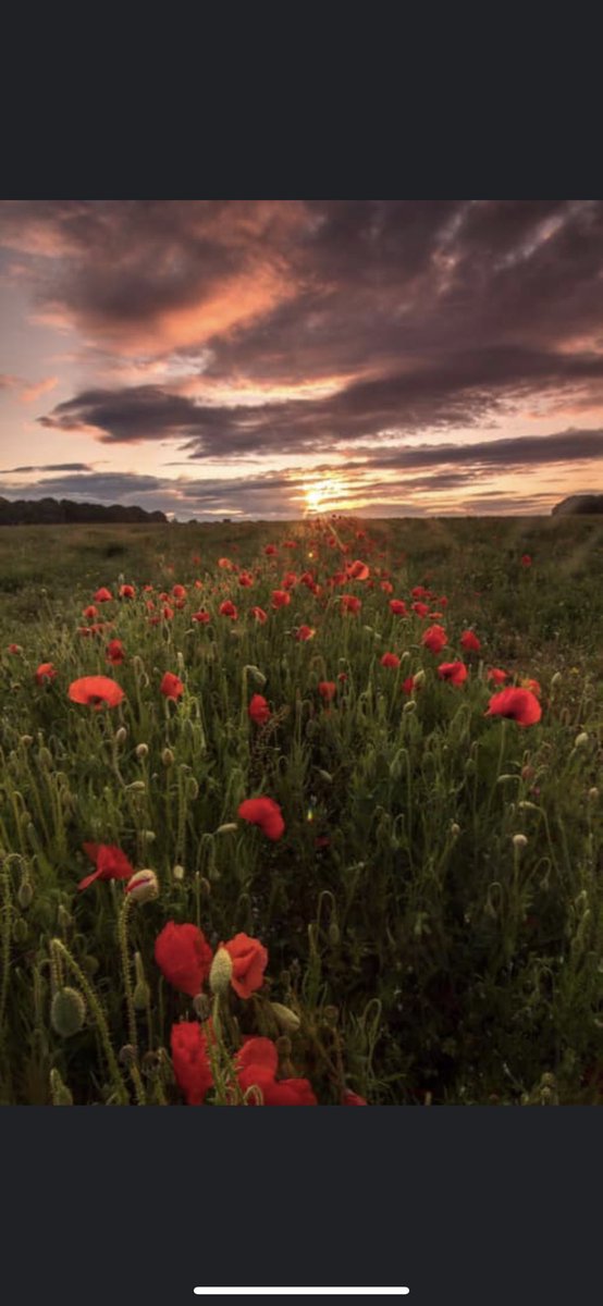 We will remember them always ❤️❤️