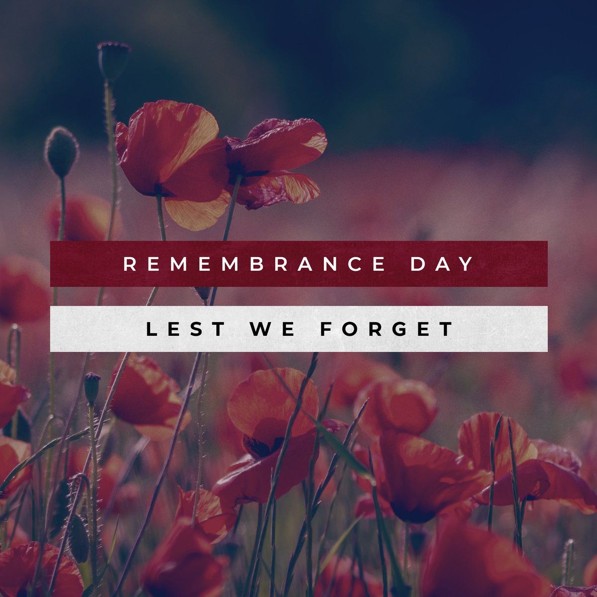 TransformNW's tweet image. At the going down of the sun and in the morning.
We will remember them.
#RememberanceSunday #LestWeForget