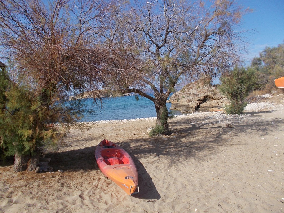 PureCreteAptera's tweet image. November Days #Crete @purecrete