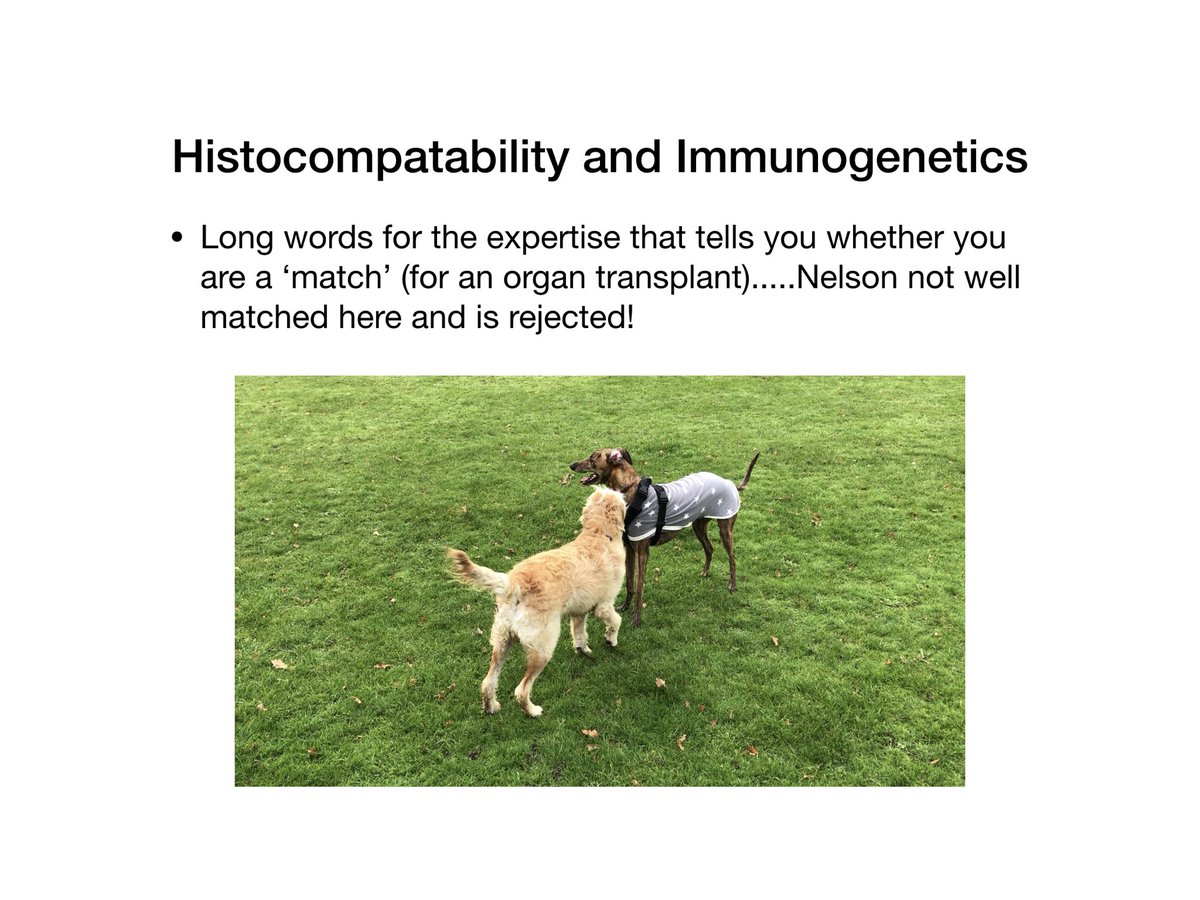 JoMartin_path's tweet photo. #nelsonspathologyweek next up....to see what happened next, go to the full (3min!) video https://t.co/Q9a06WCDgL https://t.co/yVEFkbvo7T