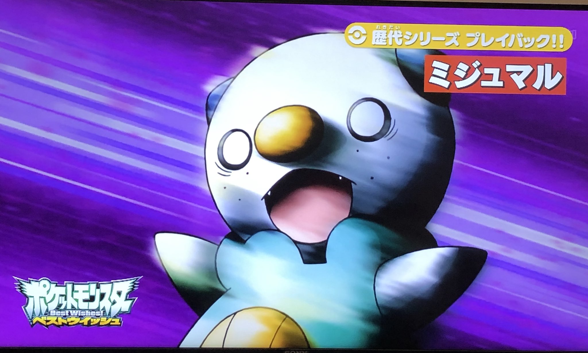 じん ネタバレミュート推奨 アニポケ特別番組見たぞ サンムーンが終わって少しさみしい気持ちはあるけど 新しいアニポケ楽しみ ゴウのヒバニーはかまってちゃんなのかな そしてなんでミジュマルのシーンがデントのヤナップがソーラービームを