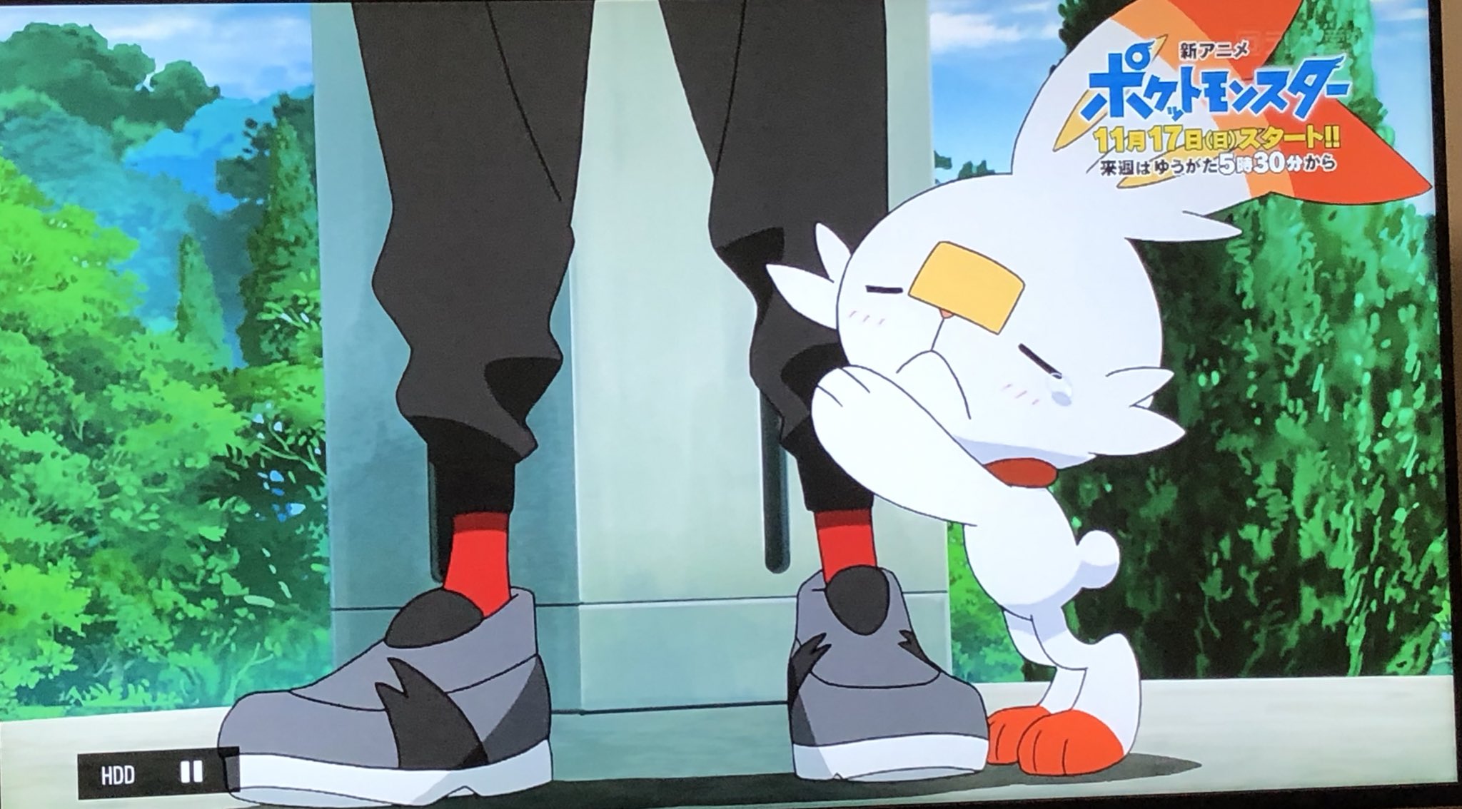 じん ネタバレミュート推奨 アニポケ特別番組見たぞ サンムーンが終わって少しさみしい気持ちはあるけど 新しいアニポケ楽しみ ゴウのヒバニーはかまってちゃんなのかな そしてなんでミジュマルのシーンがデントのヤナップがソーラービームを