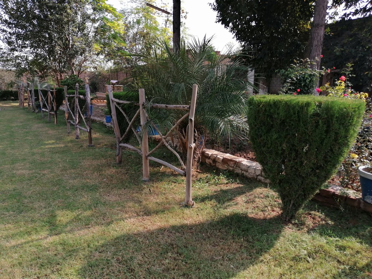 SMKhankhalil's tweet image. Do I have good gardening skills or should I hone them further??
#SundayActivity