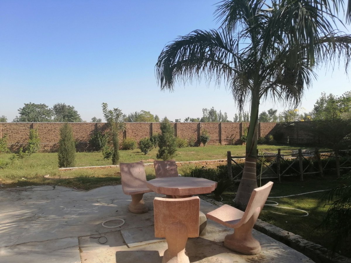 SMKhankhalil's tweet image. Do I have good gardening skills or should I hone them further??
#SundayActivity