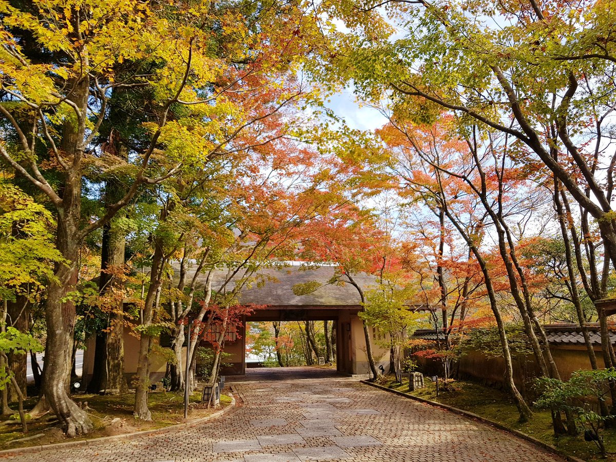 Kimsangin tweet media