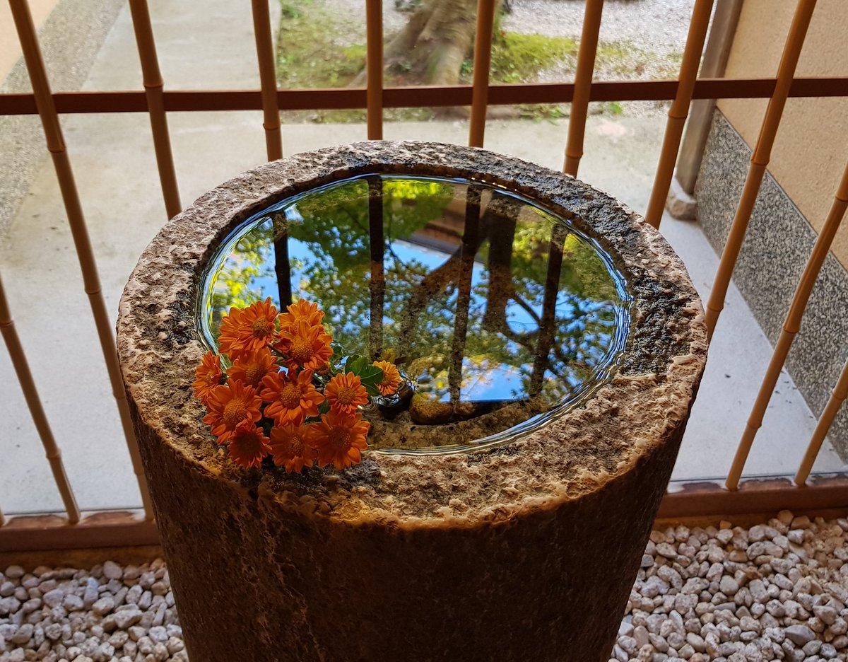 Kimsangin tweet media