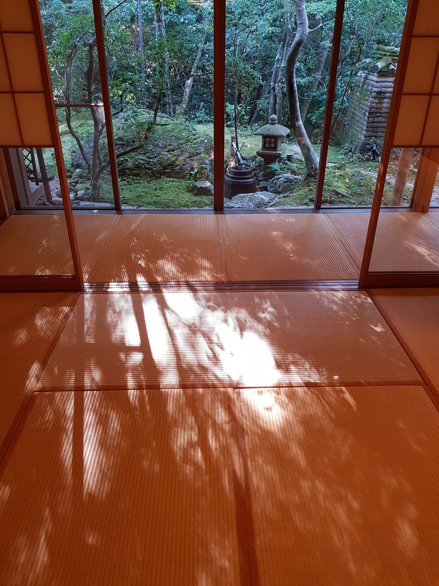 Kimsangin tweet media