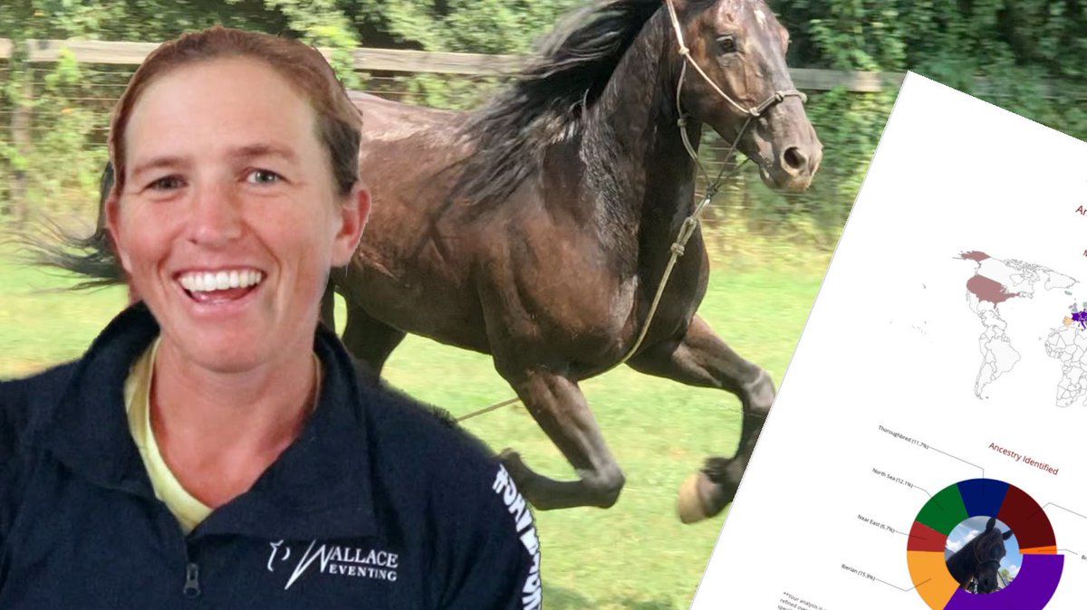 Sooo many people have told me they thought that Eton the mustang was #friesian. Well, I did some genetic testing with <a href="/EtalonDx/">Etalon Diagnostics</a>. Turns out ... #horse #genetics youtu.be/os7BFndzrfI