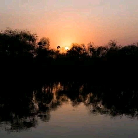 mutdoup's tweet image. The beauty of river Nile the sunset veiws.