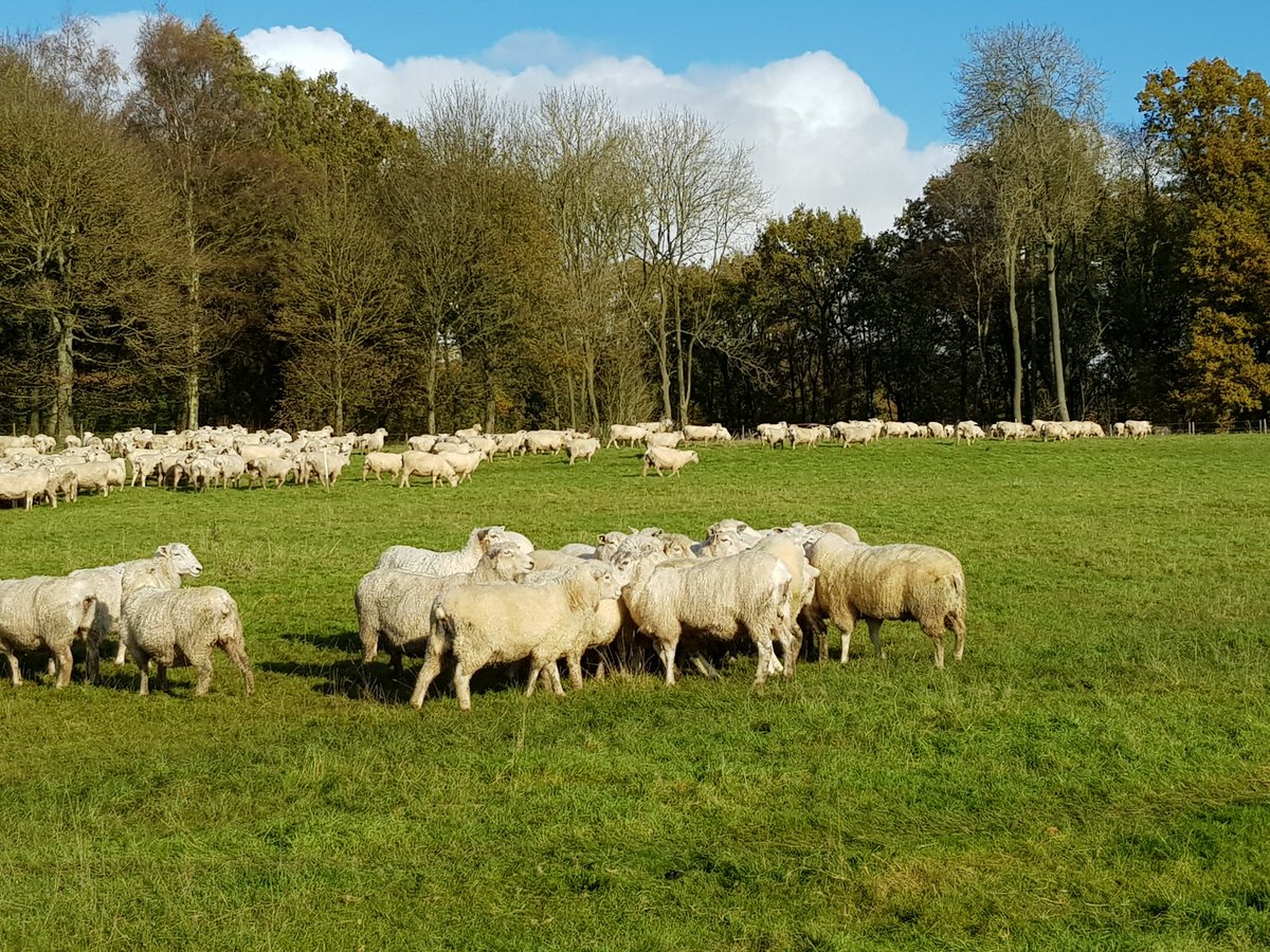 Tups loosed today. May the force be with you boys!