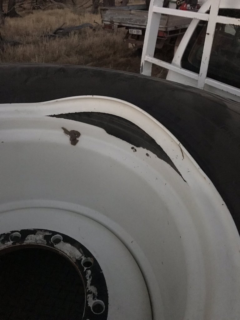 Travis Eva tweet media