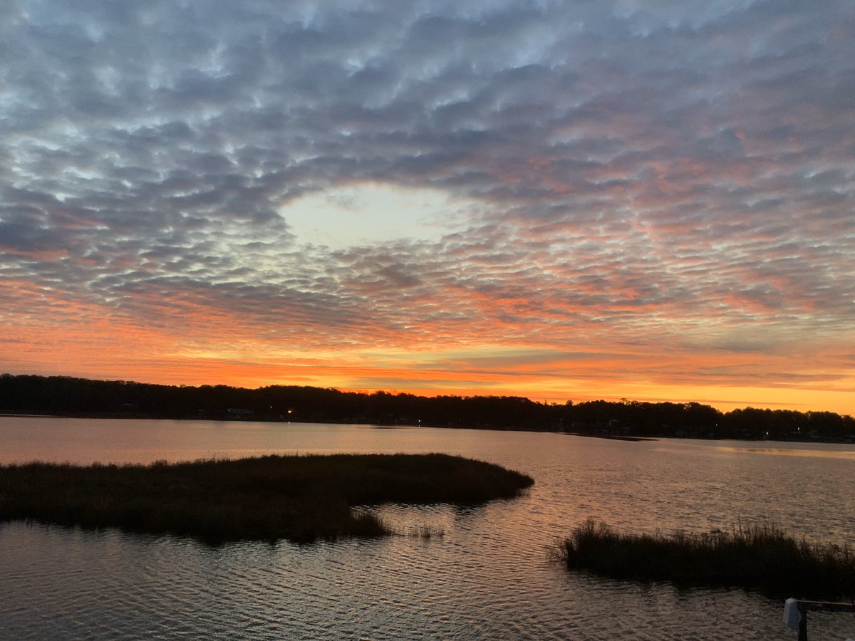 kgreg2's tweet photo. @dawnhoweth @AndrewNBC12 @MegWiseNBC12 Saw this on the Piankatank River too. https://t.co/Zz8thTzdbV
