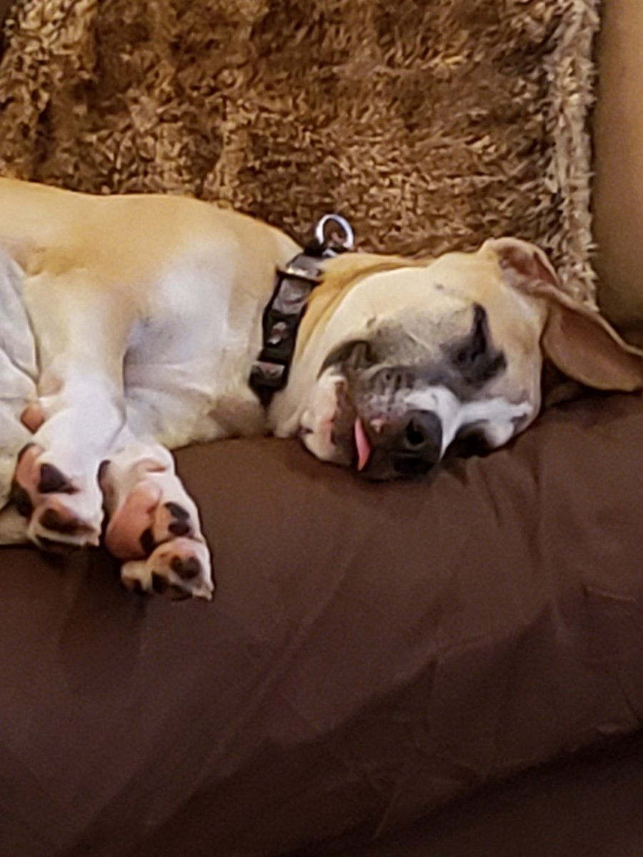 davidmar tweet media