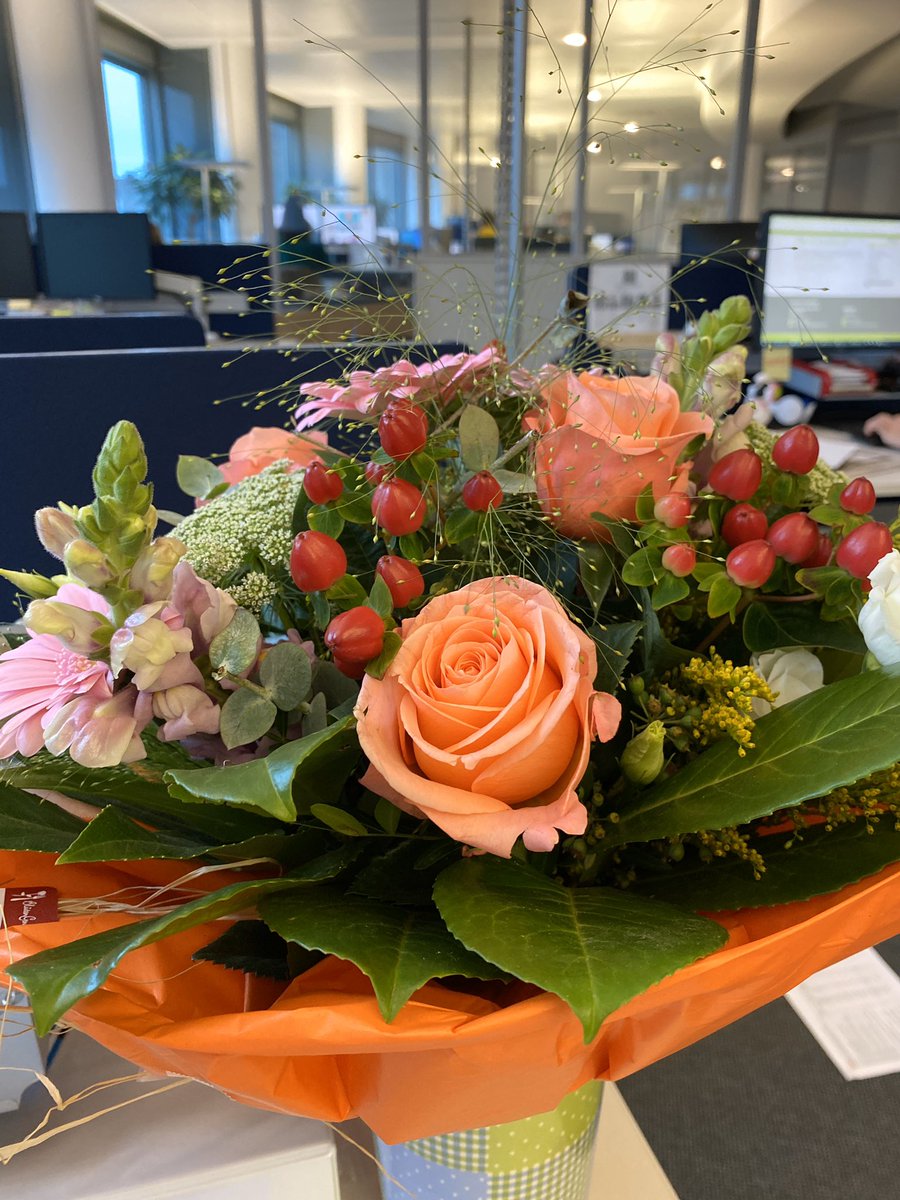 Wenn’s schon Blumen gibt, dann ist’s wohl offiziell: Ab sofort bin ich als Audio-Managerin bei der NOZ Digital u.a. für so tolle Projekte wie „Brückengeflüster“ und „Immer der Hase nach“ verantwortlich! 
 👉🏻 noz.de/audio #NewJob #podcast 
#letsdothis 💪🏻🎧